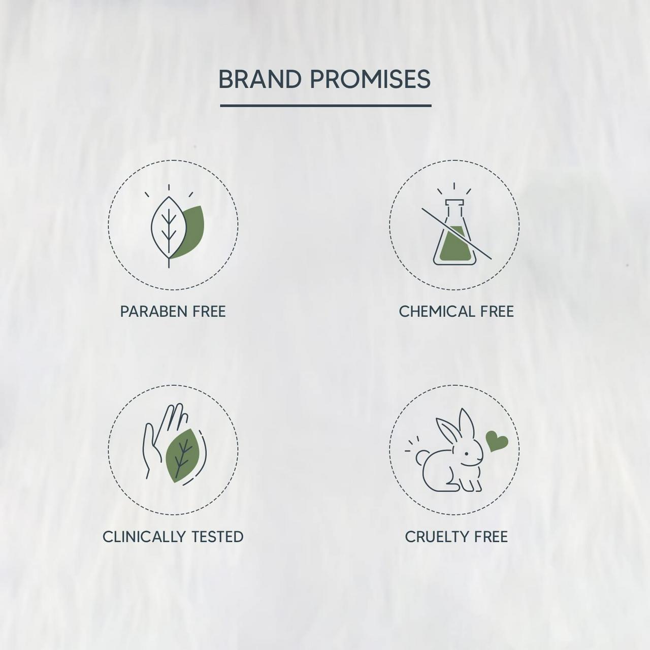 https://cdn.shopify.com/s/files/1/1857/6931/files/aQSPmnbN6K.png?v=1720524249