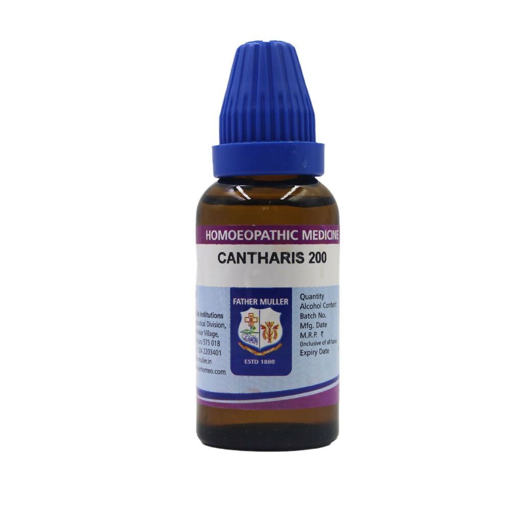 https://cdn.shopify.com/s/files/1/1857/6931/files/aR5G4wzb6T.jpg?v=1719036206