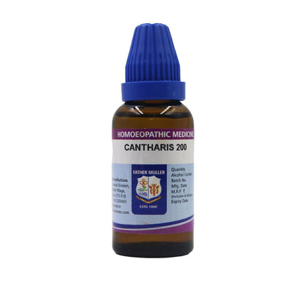 https://cdn.shopify.com/s/files/1/1857/6931/files/aR5G4wzb6T.jpg?v=1719036206