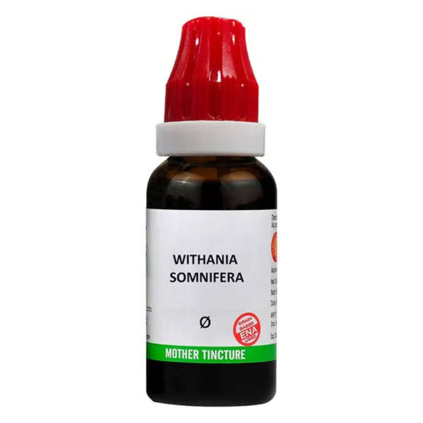 https://cdn.shopify.com/s/files/1/1857/6931/products/aRpMVxlCvP.jpg?v=1660218369