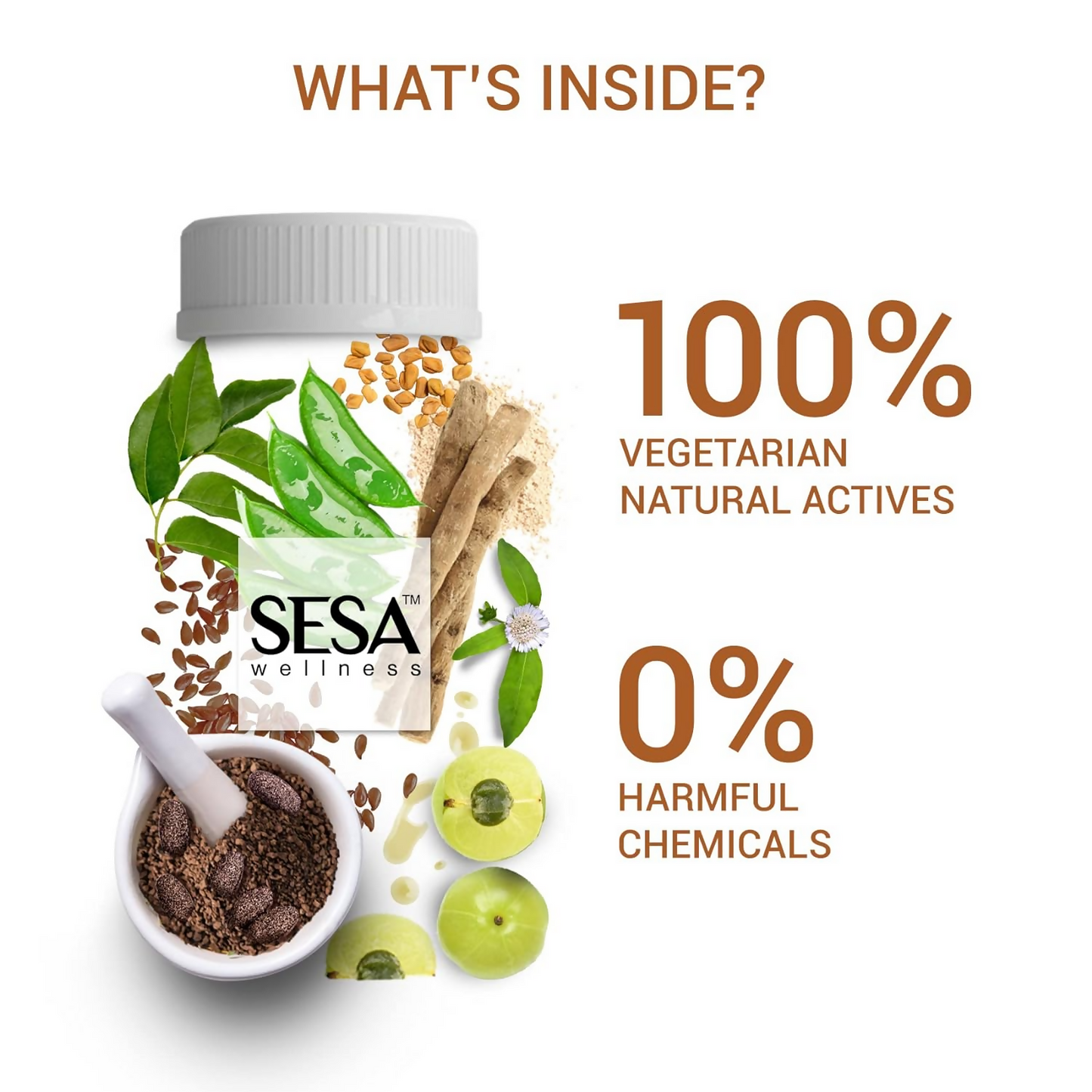 https://cdn.shopify.com/s/files/1/1857/6931/products/aSGR6jUWoQ.png?v=1697798508