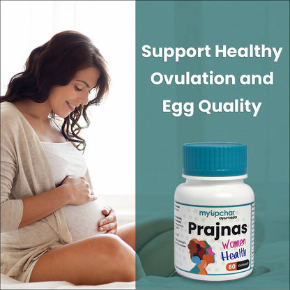 https://cdn.shopify.com/s/files/1/1857/6931/products/aSqjbgrQDn.jpg?v=1700889691