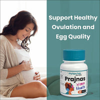 https://cdn.shopify.com/s/files/1/1857/6931/products/aSqjbgrQDn.jpg?v=1700889691