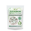 https://cdn.shopify.com/s/files/1/1857/6931/products/aUONduZUJQ.jpg?v=1762403089