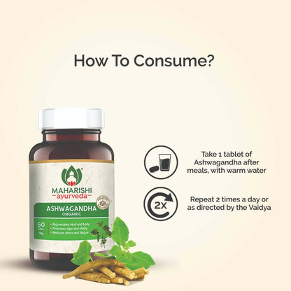 https://cdn.shopify.com/s/files/1/1857/6931/products/aX27mA3hbX.jpg?v=1737558488