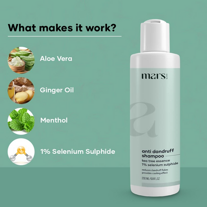 https://cdn.shopify.com/s/files/1/1857/6931/files/aY4EllFtm6.png?v=1721305352