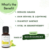 https://cdn.shopify.com/s/files/1/1857/6931/products/aYxNUlFTvn.jpg?v=1664430138