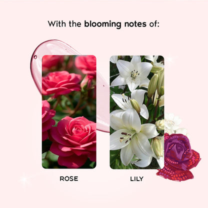 https://cdn.shopify.com/s/files/1/1857/6931/files/ac1d590WANDE00000527_4.jpg?v=1768229886