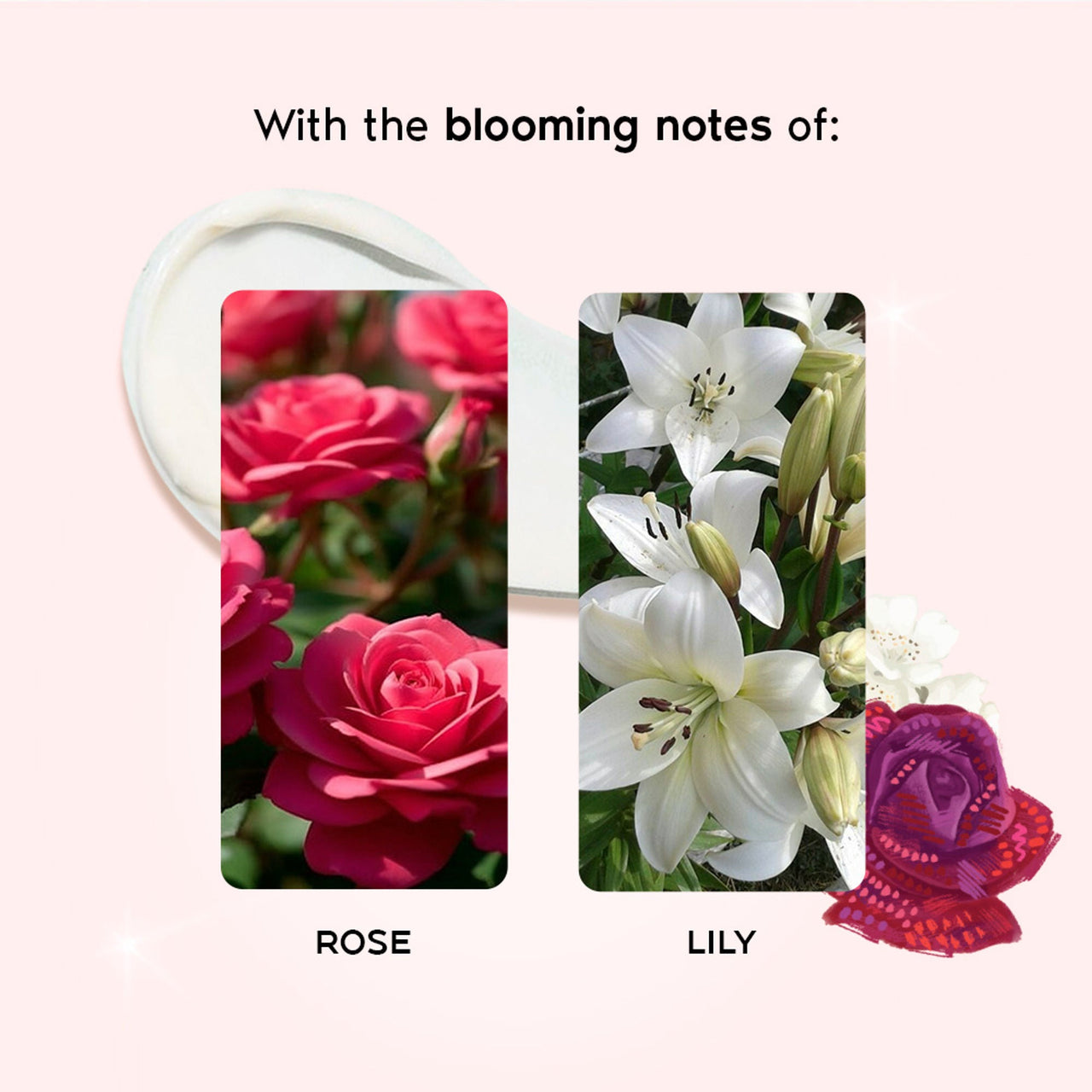 https://cdn.shopify.com/s/files/1/1857/6931/files/ac1d590WANDE00000528_4.jpg?v=1768229920