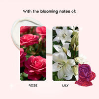 https://cdn.shopify.com/s/files/1/1857/6931/files/ac1d590WANDE00000528_4.jpg?v=1768229920
