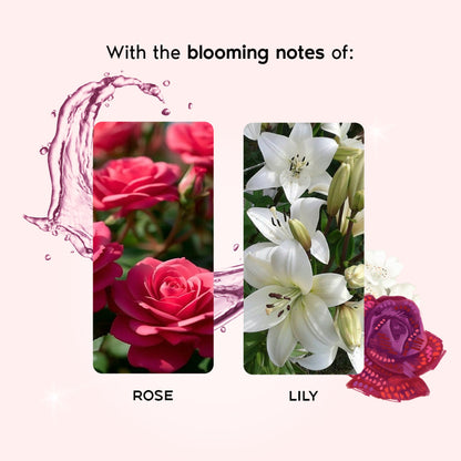 https://cdn.shopify.com/s/files/1/1857/6931/files/ac1d590WANDE00000548_4_50dc9210-54c9-4d6b-82ae-242e411a2772.jpg?v=1768229973