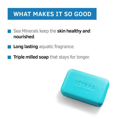 https://cdn.shopify.com/s/files/1/1857/6931/products/aclLmmIpPN.jpg?v=1649316458