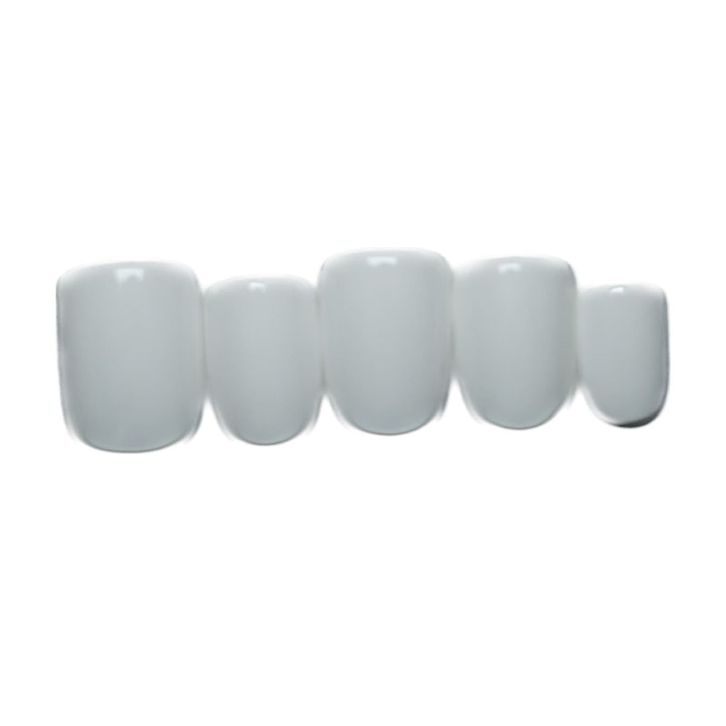 https://cdn.shopify.com/s/files/1/1857/6931/files/adced508906168533744_2A1.jpg?v=1769754452