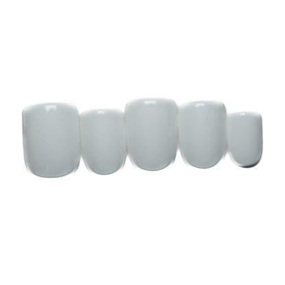 https://cdn.shopify.com/s/files/1/1857/6931/files/adced508906168533744_2A1.jpg?v=1769754452