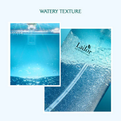 https://cdn.shopify.com/s/files/1/1857/6931/files/adkH72nlc9.png?v=1767335674