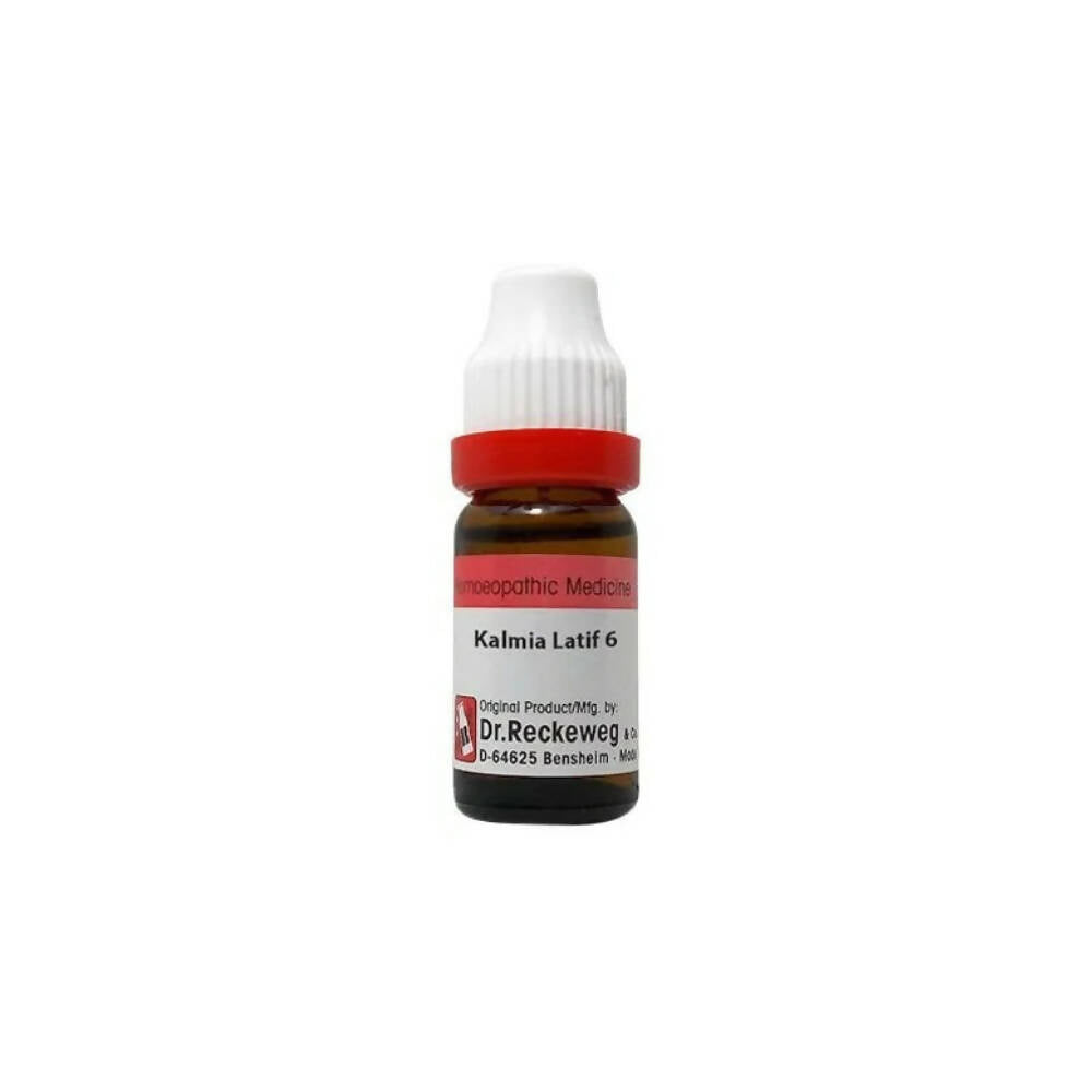 https://cdn.shopify.com/s/files/1/1857/6931/products/ae8JaOoro2.jpg?v=1679146929