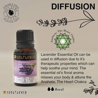 https://cdn.shopify.com/s/files/1/1857/6931/products/aeLL2nWsqy.jpg?v=1614911235