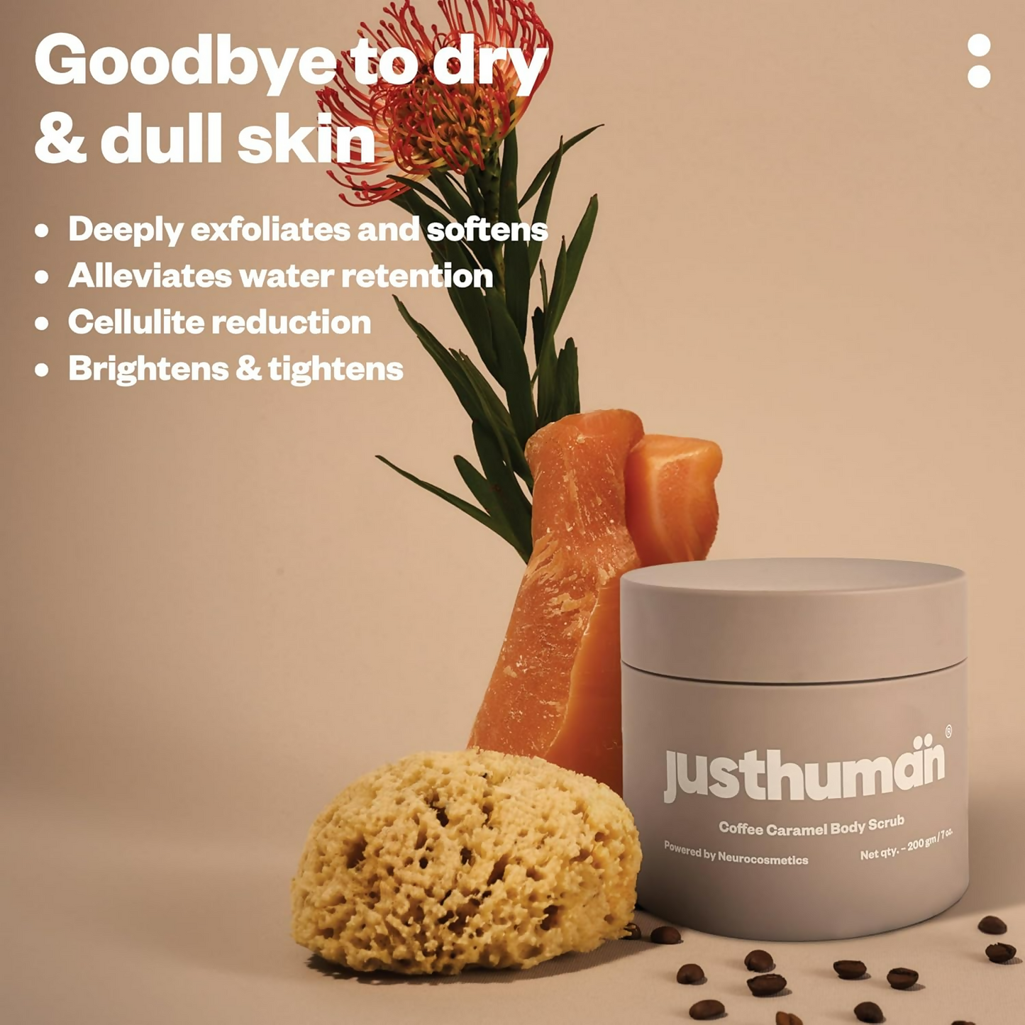 https://cdn.shopify.com/s/files/1/1857/6931/files/ag1kxzCFR1.png?v=1726060005