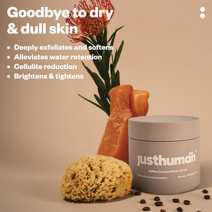 https://cdn.shopify.com/s/files/1/1857/6931/files/ag1kxzCFR1.png?v=1726060005