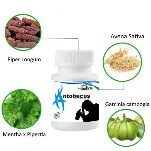 https://cdn.shopify.com/s/files/1/1857/6931/files/ajWrhV4MCZ.jpg?v=1730724245