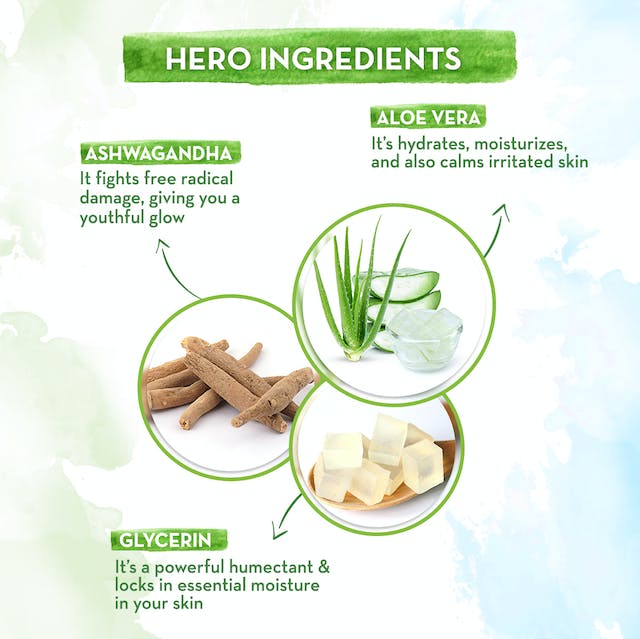 https://cdn.shopify.com/s/files/1/1857/6931/products/aloevera-fw-3.jpg?v=1662105398
