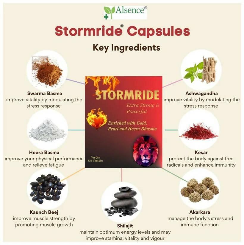 https://cdn.shopify.com/s/files/1/1857/6931/files/amRTc1Cq6t-376775.jpg?v=1736146741