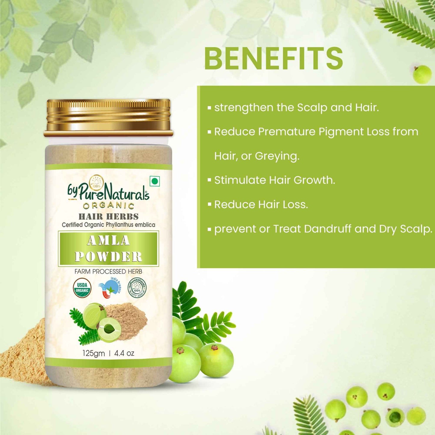 https://cdn.shopify.com/s/files/1/1857/6931/files/amla-powder-organic-benefits.jpg?v=1777982345