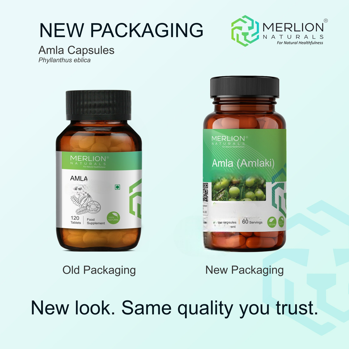 https://cdn.shopify.com/s/files/1/1857/6931/files/amla_capsules_60_4-Photoroom.png?v=1782534544