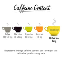 https://cdn.shopify.com/s/files/1/1857/6931/products/ampEVuQGWO.jpg?v=1704374982