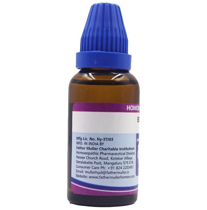 https://cdn.shopify.com/s/files/1/1857/6931/files/amvb7Phk9R.png?v=1719552417