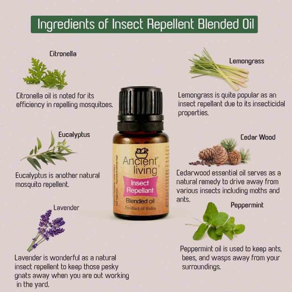 https://cdn.shopify.com/s/files/1/1857/6931/files/ancient-living-organic-insect-repellant-blended-oil-515749.jpg?v=1736147456