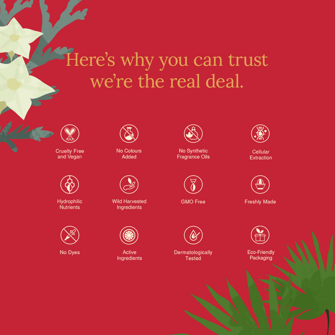 https://cdn.shopify.com/s/files/1/1857/6931/files/appq6F8z8w.png?v=1739424216
