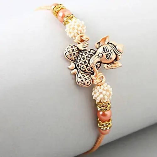 https://cdn.shopify.com/s/files/1/1857/6931/products/aps4wVw4Yg.jpg?v=1627998053