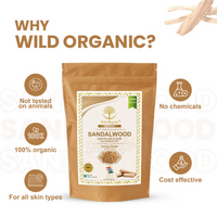 https://cdn.shopify.com/s/files/1/1857/6931/files/arArVRu5wu.png?v=1729769648
