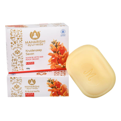 https://cdn.shopify.com/s/files/1/1857/6931/products/arCehC5tdN.jpg?v=1683961009
