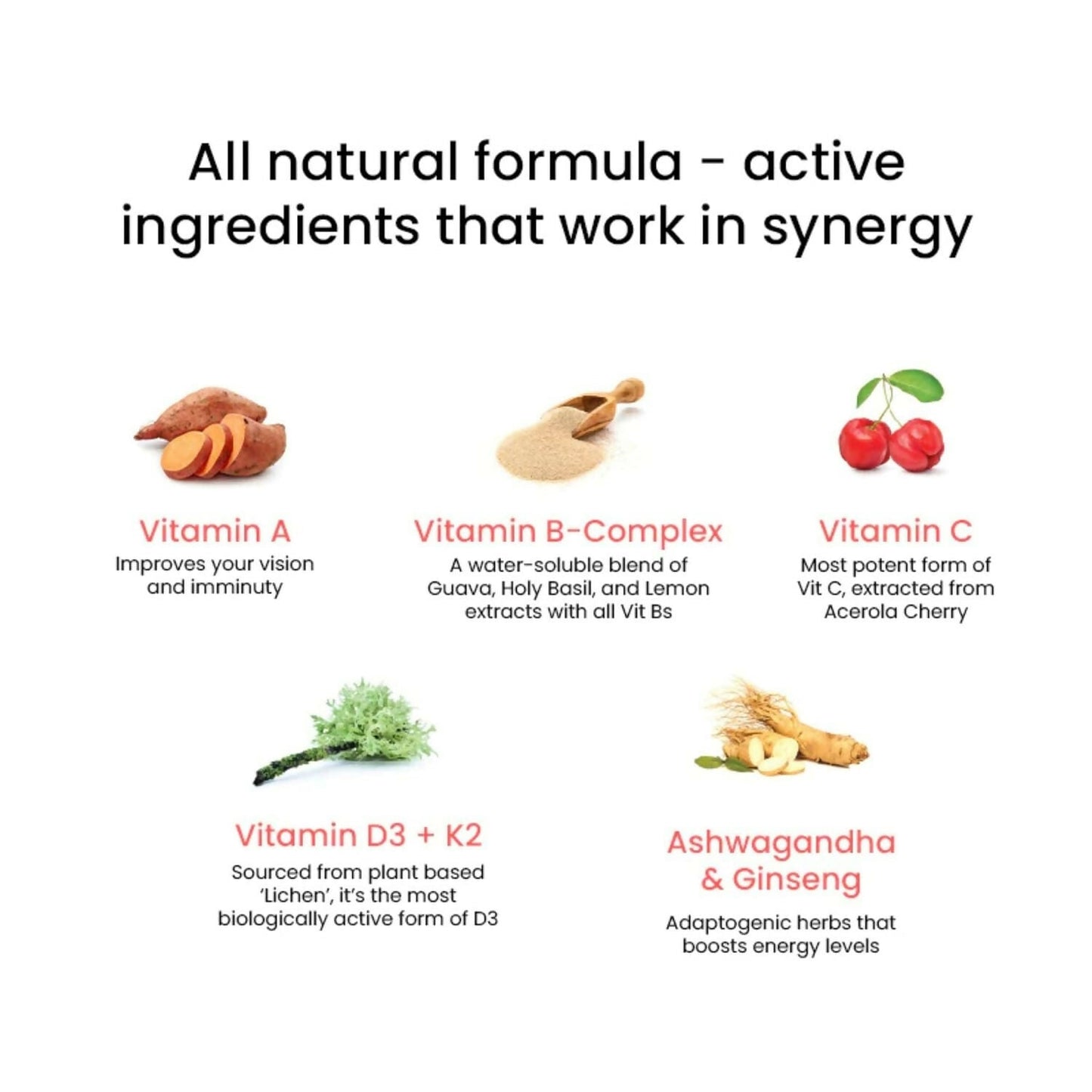 https://cdn.shopify.com/s/files/1/1857/6931/files/arksujVfrz.jpg?v=1726750014
