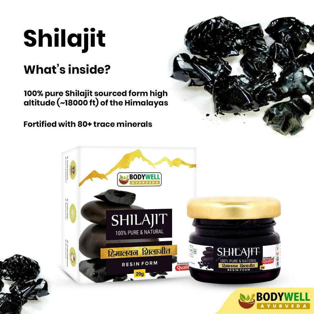 https://cdn.shopify.com/s/files/1/1857/6931/products/atZTMFFNgv.jpg?v=1694424797
