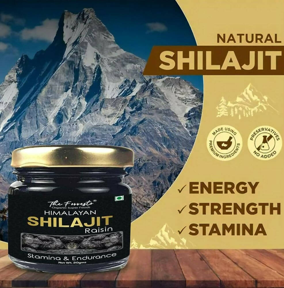 https://cdn.shopify.com/s/files/1/1857/6931/products/atmNEva5rv.jpg?v=1693827338
