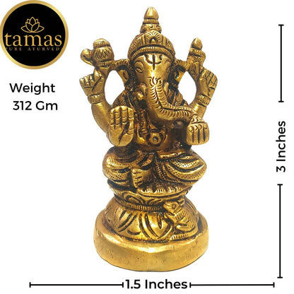 https://cdn.shopify.com/s/files/1/1857/6931/products/awJDf6uECw.jpg?v=1681465880