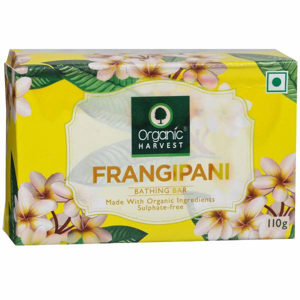 https://cdn.shopify.com/s/files/1/1857/6931/products/b0T0a71BwM.jpg?v=1759275473