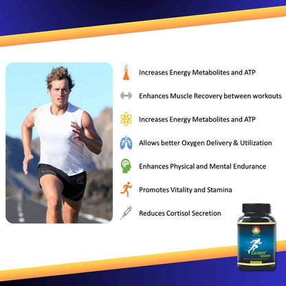 https://cdn.shopify.com/s/files/1/1857/6931/products/b0n3Cs9MRl.jpg?v=1741169279