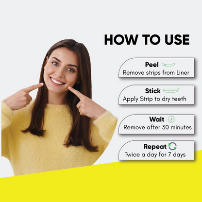 https://cdn.shopify.com/s/files/1/1857/6931/files/b2OOOR9a2n.png?v=1728631519