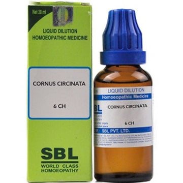 https://cdn.shopify.com/s/files/1/1857/6931/products/b2QXxkgqTI.jpg?v=1636434182