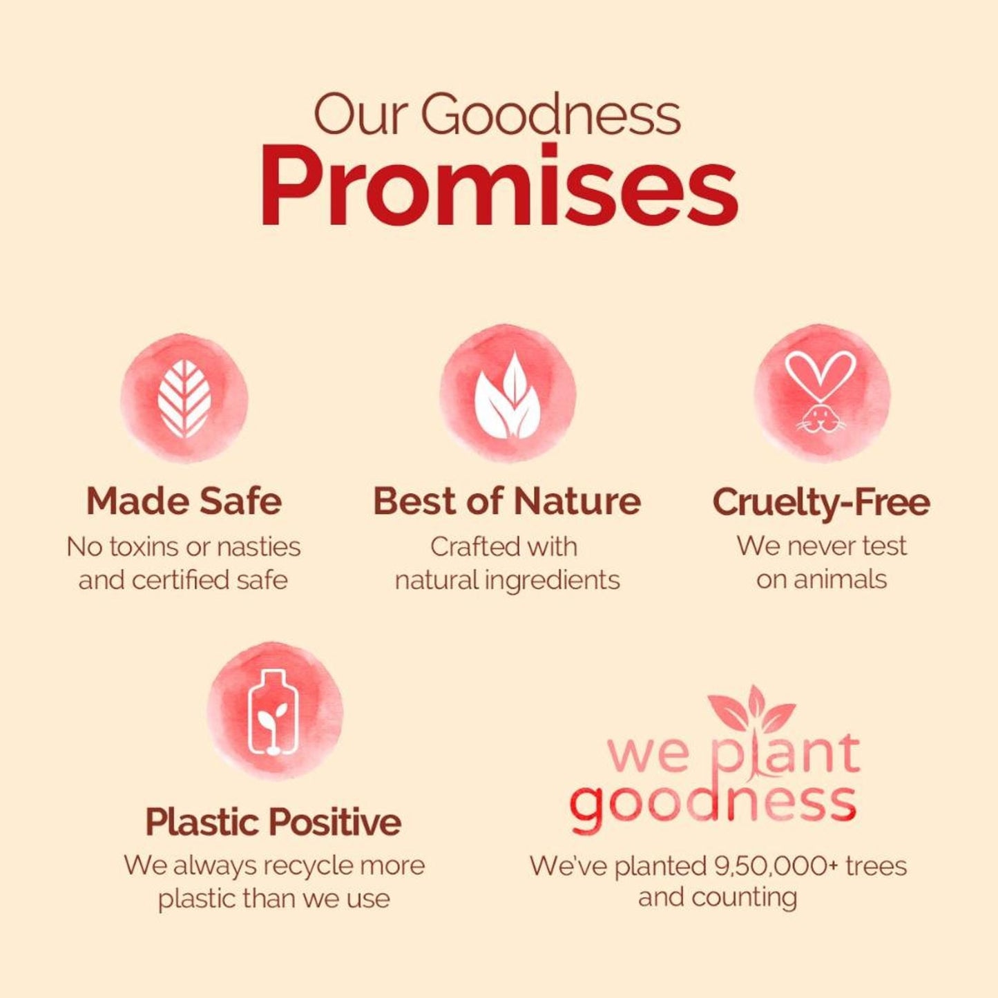 https://cdn.shopify.com/s/files/1/1857/6931/files/b2b52598904417324587_9.jpg?v=1779951842