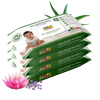 https://cdn.shopify.com/s/files/1/1857/6931/files/b3ea8vkB77.png?v=1784711759