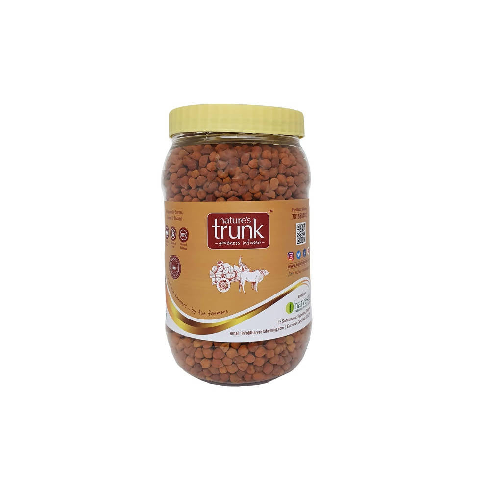 https://cdn.shopify.com/s/files/1/1857/6931/products/b42TCngMZV.jpg?v=1630031518