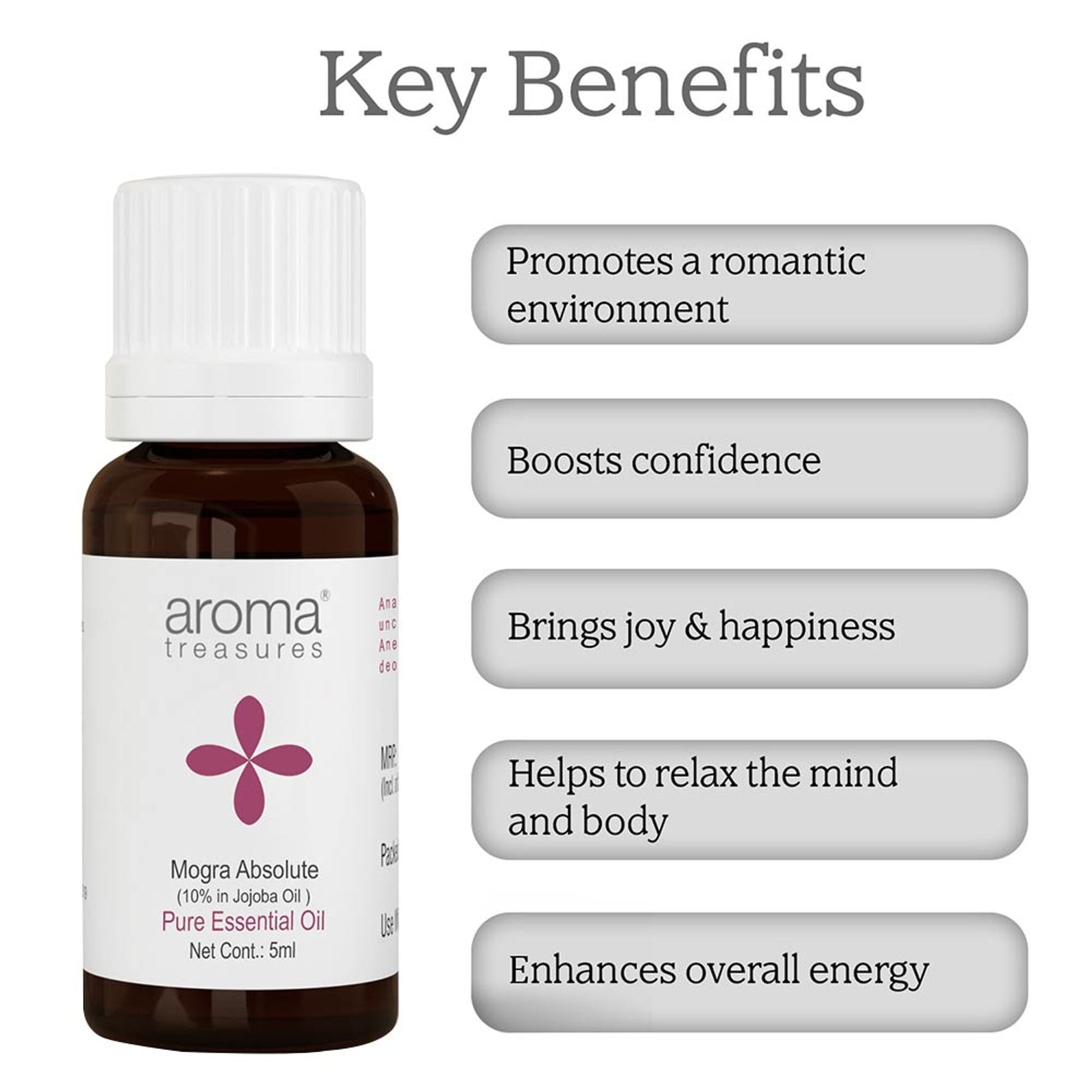https://cdn.shopify.com/s/files/1/1857/6931/files/b4fd0fbnyaromatre071_3.jpg?v=1770104370
