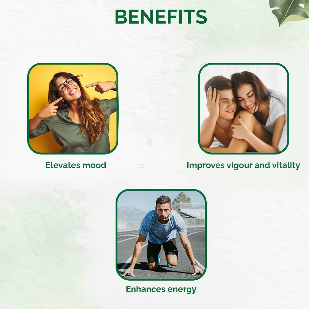 https://cdn.shopify.com/s/files/1/1857/6931/products/b4z3idSp1D.jpg?v=1670491079
