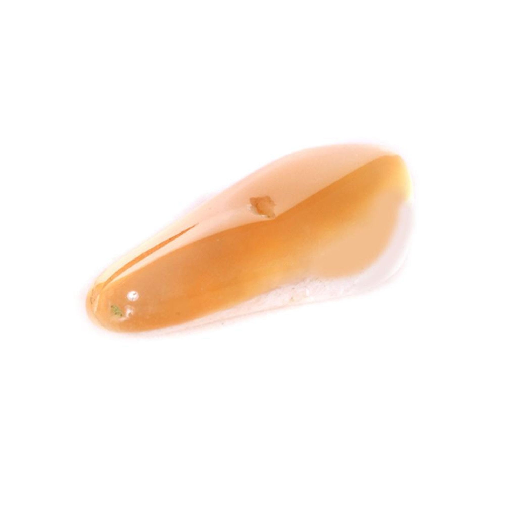 https://cdn.shopify.com/s/files/1/1857/6931/files/b5015d5GLAMO00000013_3.jpg?v=1771584988