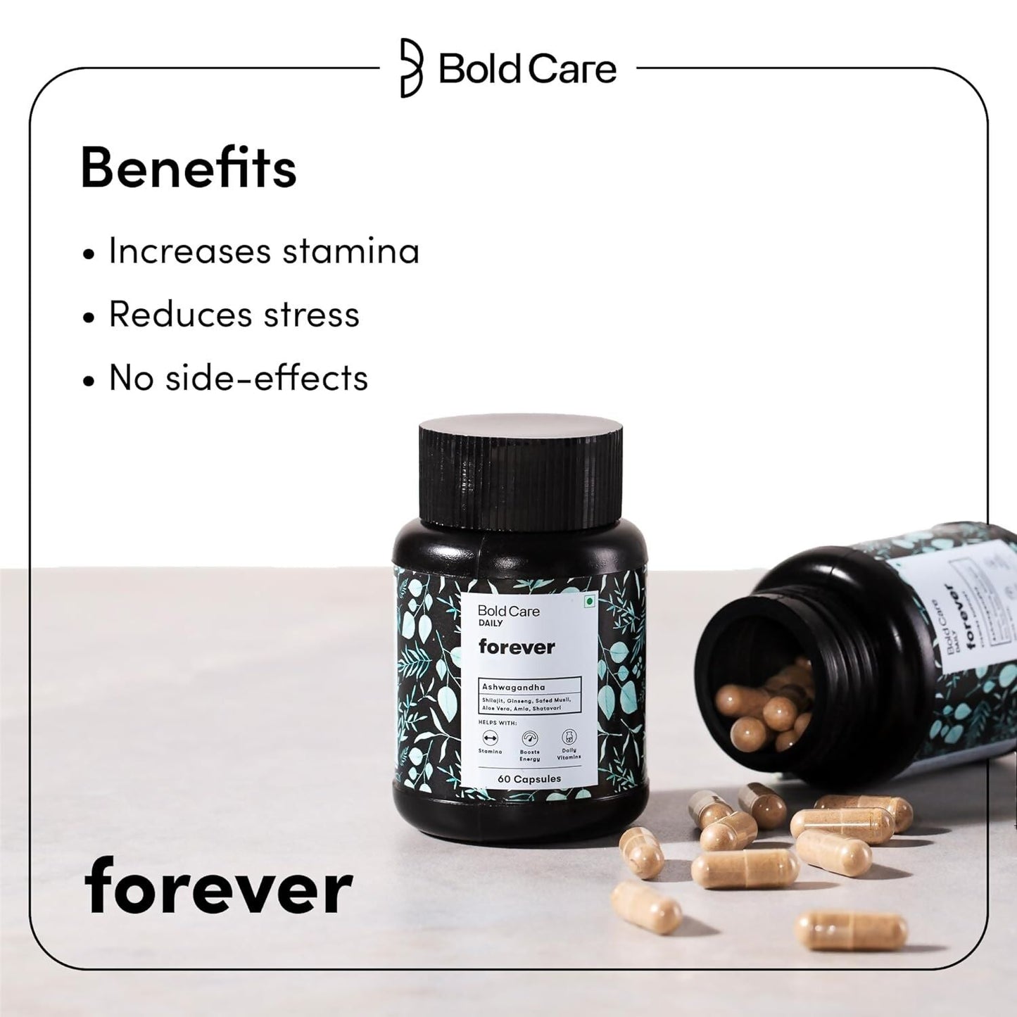 https://cdn.shopify.com/s/files/1/1857/6931/files/b56V2IxQhD.jpg?v=1714392301